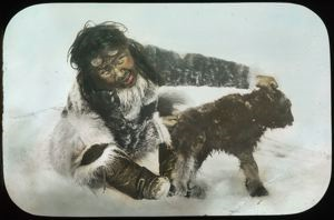 Image of Holding out Baby Musk-Ox